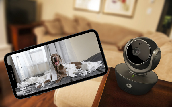 SmartPet - chytré kamery